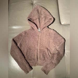 Aritzia Babaton Teddy hoodie